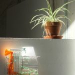 BartSimon-05-GRID_daily3_fantôme