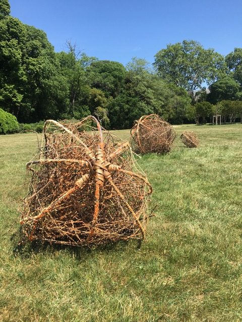 LambertKealan01-tumbleweed