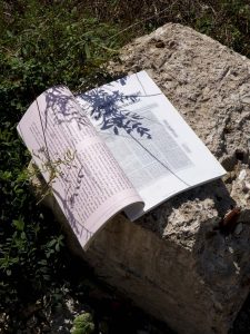 Magalie Vaz, « Planter des Corps », édition (reader), 2022, impression laser sur supports divers, 21 x 29,7cm, 140 pages, 20 exemplaires
