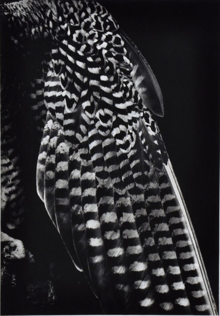 conférence hors cadre