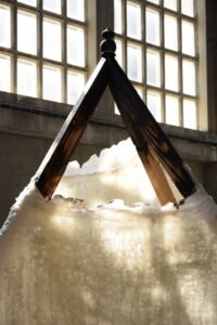 Maeva Totolehibe “Solace (variations), vue d'exposition, cire, bois, insectes naturalisés, haut-parleurs, renouée du Japon, pièce sonore, 180 x 120 x 120 cm, 2023”