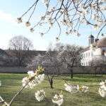 202511-appel-sanctuaire-beaune21