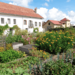 Capture d’écran 2026-01-20 à 09.22.11