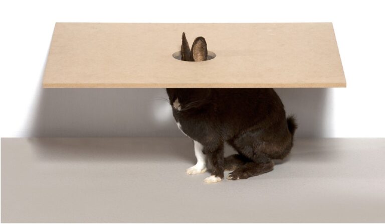 Crédits : Sigurdur Arni Sigurdsson, Diplomatie, 1996. Collection Frac Franche-Comté © Sigurdur Arni Sigurdsson