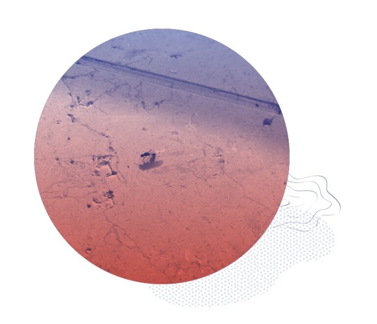 Capture d’écran 2026-02-23 120002