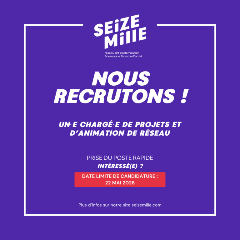 Offre d'emploi Seize Mille-1 (2)