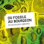 Du Fossile au bourgeon, des dessins pour comprendre - Exposition - Université Marie et Louis Pasteur